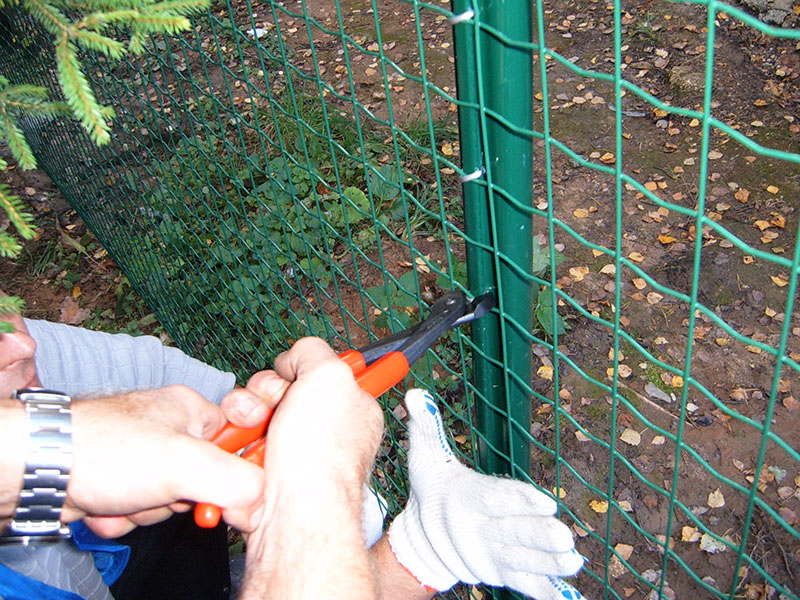 �B(y��ng)ֳ�o(h��)�W(w��ng)��B