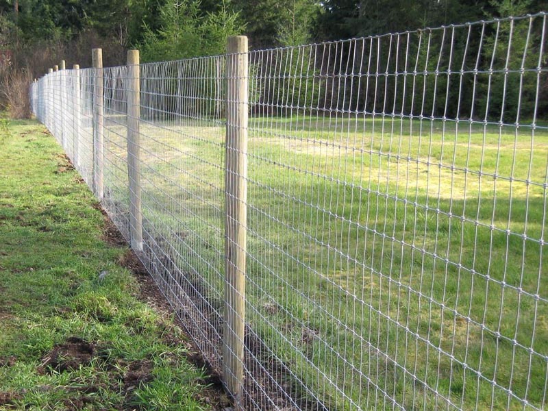 草原護(hù)欄網(wǎng)