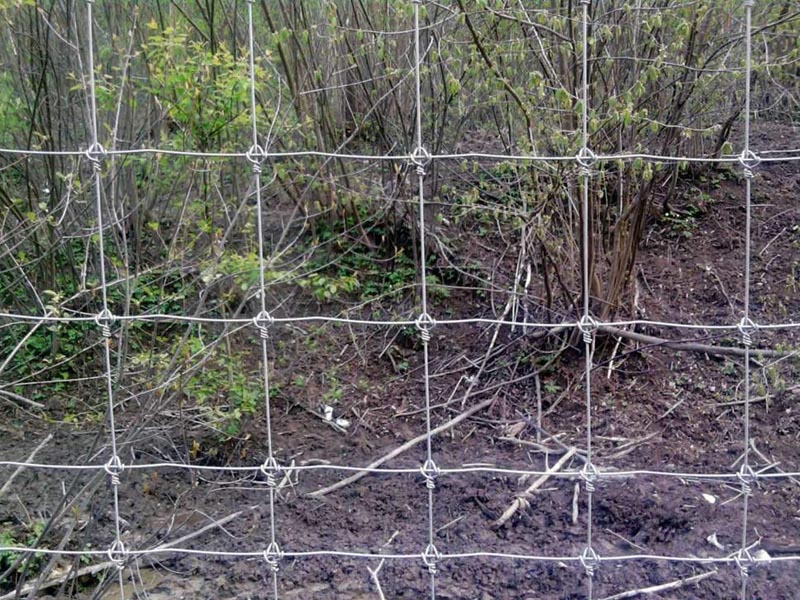 草原護(hù)欄網(wǎng)