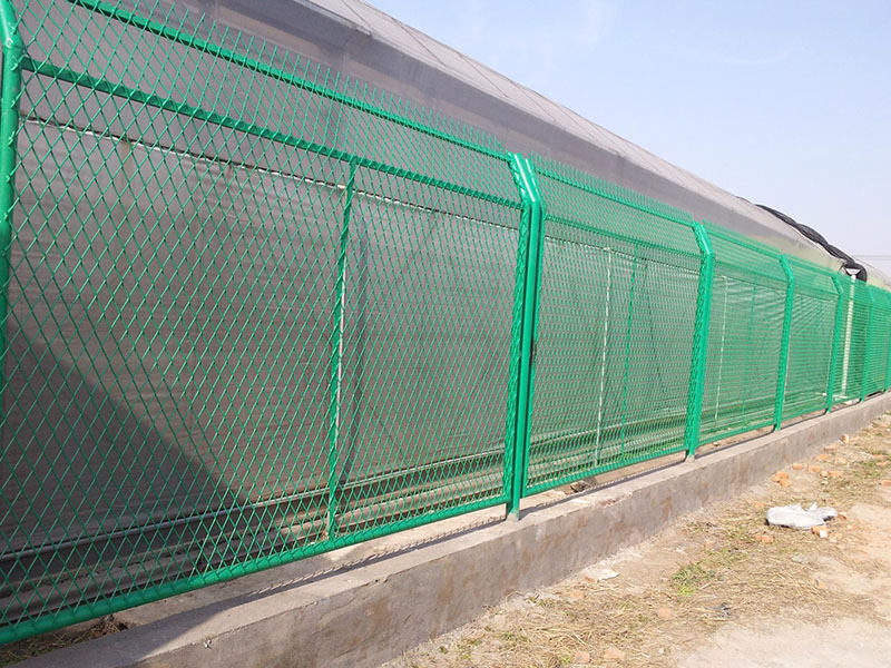 �S�^(q��)���WҎ(gu��)��